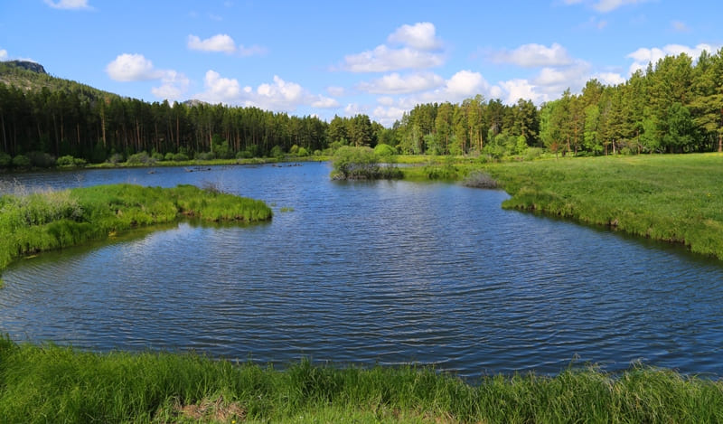 Area around Lake Komisarovskoye is a typical example of mixed forests of Karkaraly.