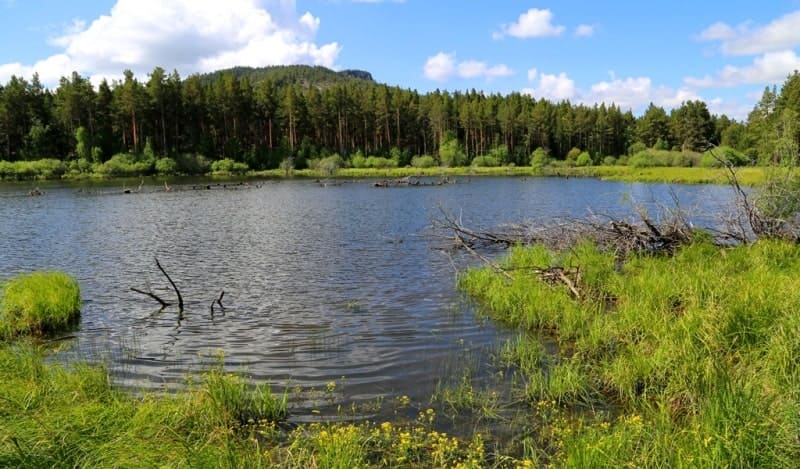 Lake Komisarovskoye is located at an altitude of 897 meters above sea level, in Komisarovskoye valley, 62 meters southeast of Forestry House.