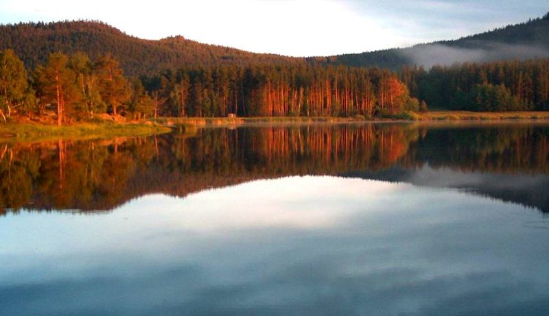 Sights of the Komissarov lake.