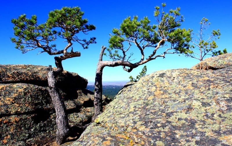 Karkaraly National Nature Park is not only a kingdom of granite mountains and pine forests, but also a stunning land of lakes.