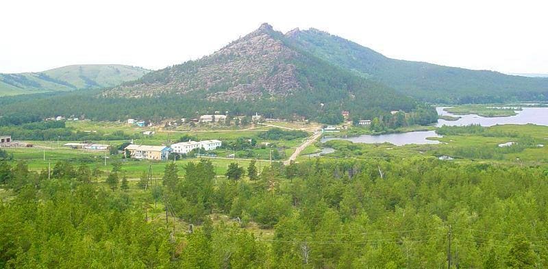 Shores of Lake Pashennoye are rich in vegetation. Sedge, cattail, horsetail, and reed grow here, while coastal forests are home to birch, aspen, pine, willow, and meadowsweet. Blueberry and lingonberry thickets grow along southern shores. 