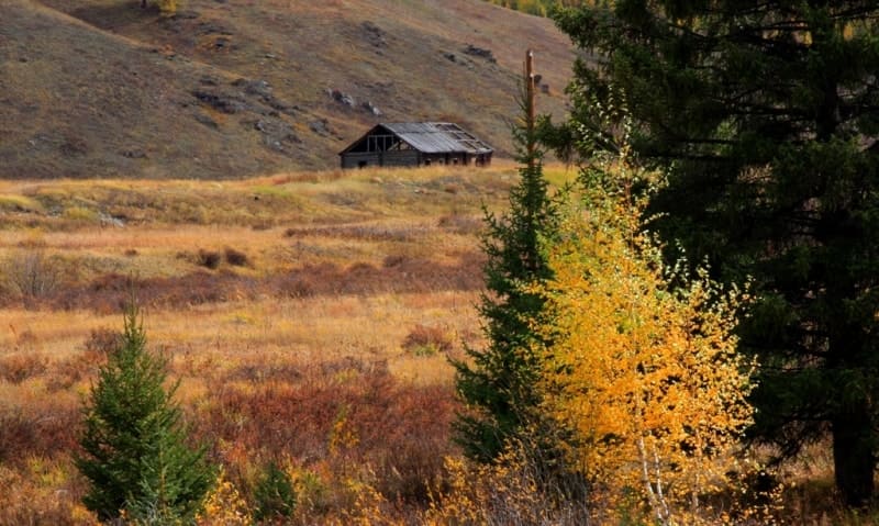 Upper Zimovye tract is located in western part of Karakobinskaya forest dacha.