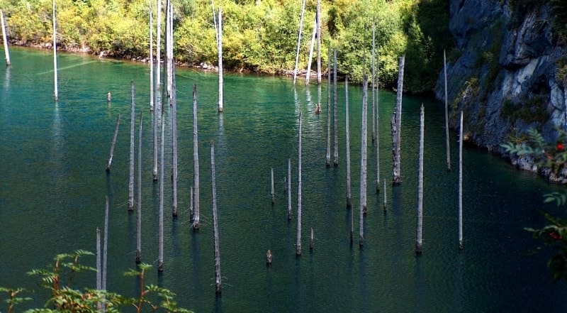 Бирюзовые воды озера Каинды и возвышающиеся из глубины озера стволы затопленного хвойного леса создают ощущение застывшего во времени мира. Лёгкая рябь на поверхности и густая зелень по берегам подчеркивают мистическую атмосферу этого природного феномена.