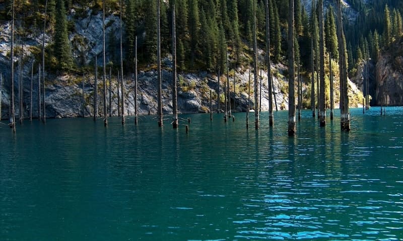 Зеркальное отражение скал и «лесных свечей» превращает озеро Каинды в двойную вселенную — мир над водой и мир под водой. В прозрачной глубине видны затопленные стволы елей, на которых до сих пор сохранилась хвоя.