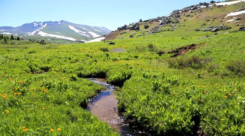 The environs of the Third Beloubinskoye Lake.