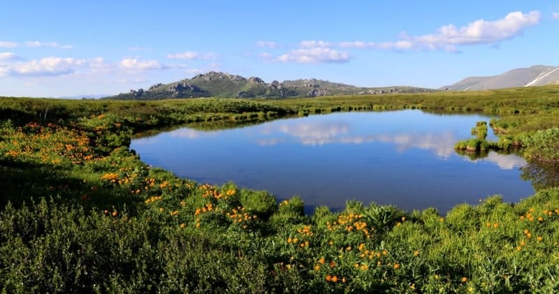 The freshwater, moraine Third Beloubinskoye Lake is located at an altitude of 1991 meters above sea level.