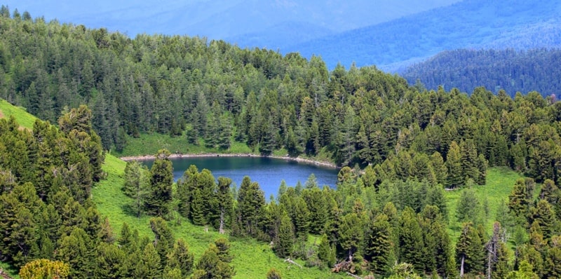 Озеро Щербакова и его окрестности в Западно-Алтайском заповеднике.