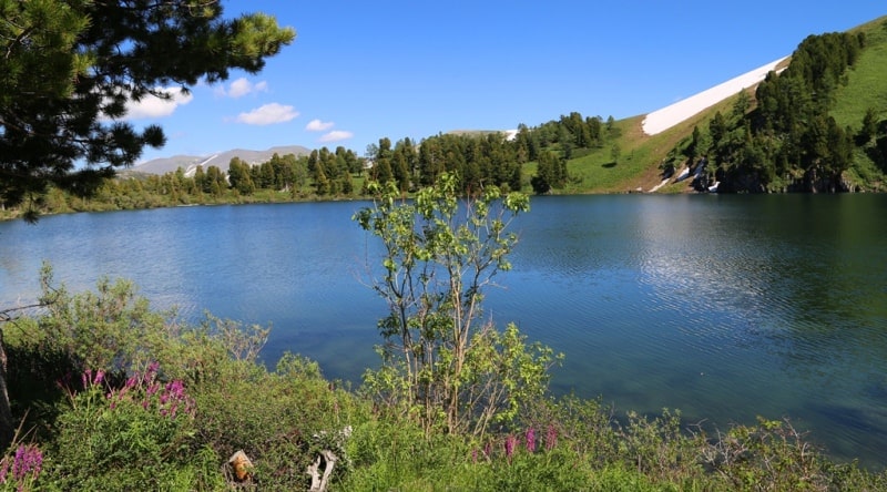 The lake Kedrovoye in West Altai Reserve.