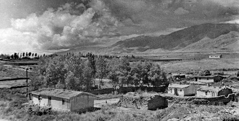 Cholpon-Ata stud farm #54. Photograph by Ella Mayar, 1932.
