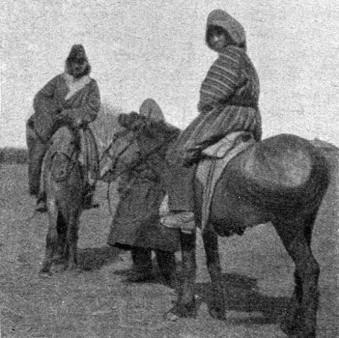 Osip Nezhivov's assistants.