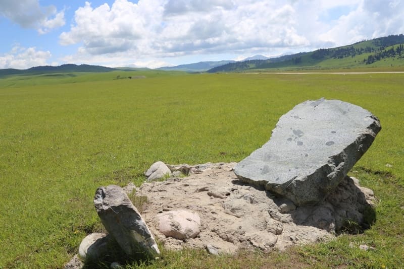 General view of the main stone with the engraved image. 2002.
