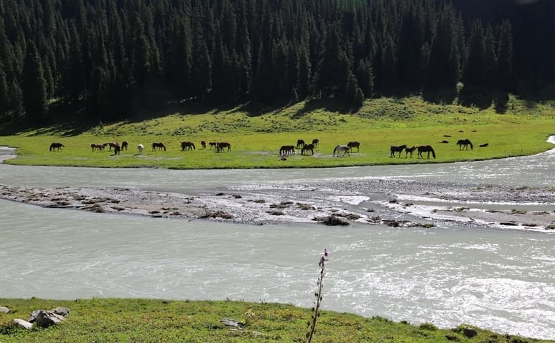 Main channel of Karakol River forms at an altitude of 2,598 meters above sea level from confluence of three rivers: right tributary Keltor, middle tributary Uyuctor, and left tributary Telety.