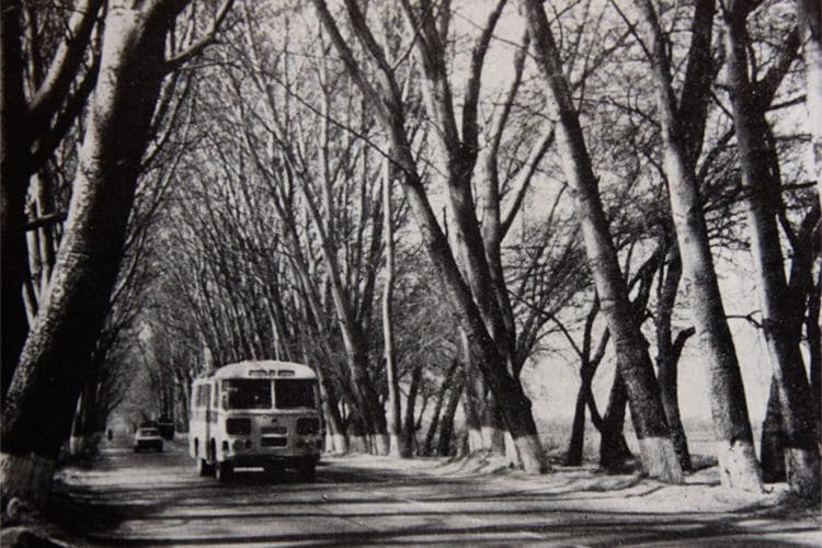 Аллея Рапопорта. 70-ые годы прошлого века. Автор фотографии неизвестен.