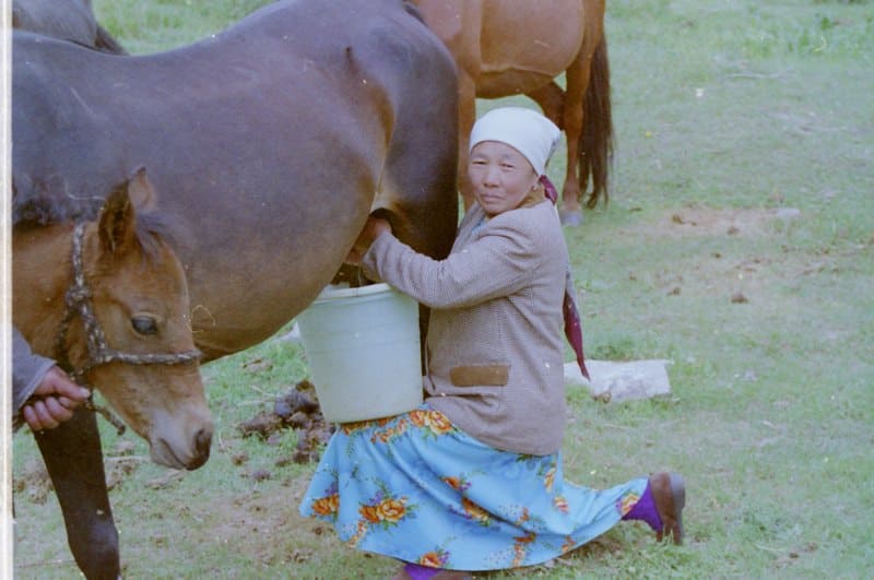 At Dolon Pass. October 9, 2002.