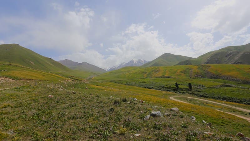 Ascent to Tossor Pass. Northern slope of Terskey Ala-Too Range.