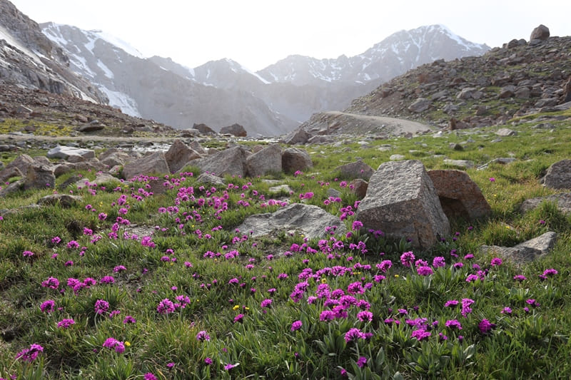 Tossor Pass. Main ridge of Terskey Ala-Too Range.