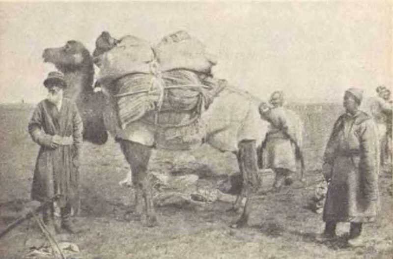 В пути. Фотография С. Гедин. 1893 год.