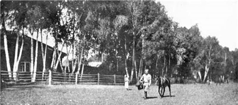 Тенистая улица кишлака – одна длинная линия ив и тополей.