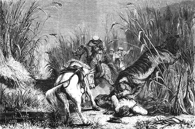 Н. Н. Каразин. Казаки на охоте за тигром. 1872 год.