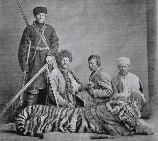 Тигр убитый казаками из отряда Семенова-Тян-Шанского в Заилийском Алатау во второй половине XIX века.