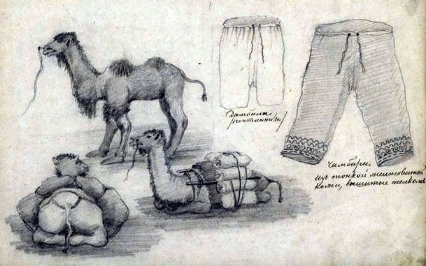 П. М. Кошаров. Этнографический альбом дикокаменных киргизов племени богинцев. 1857 год.