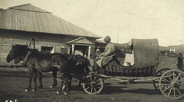 Семиречье. Почтовая тройка. Фотограф С. М. Дудин. 1899 год.