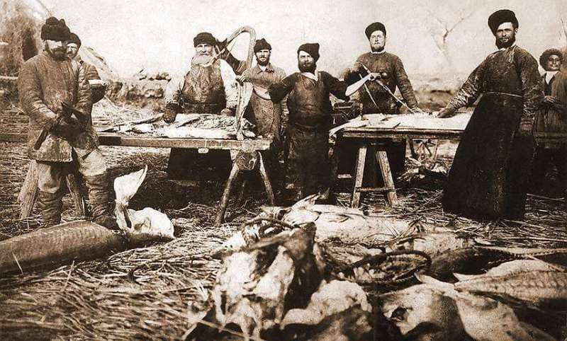 Курхай на море. Артель казаков Сладковых (город Гурьев). 1888 год.