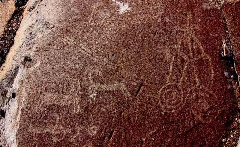 Monuments with more than 1,000 or several thousand petroglyphs (Vybistdara - 1,200, Langar - 6,000 petroglyphs).