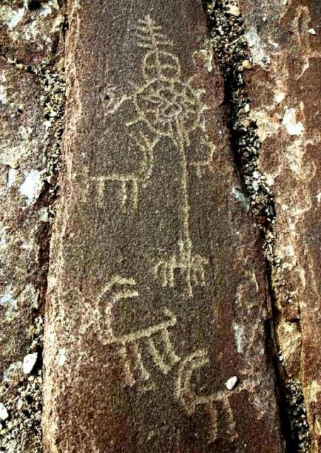 Large petroglyph sites are veritable art galleries, where entire compositions are carved into the rough surface of the stones, containing tens, hundreds, and thousands of similar rock carvings.