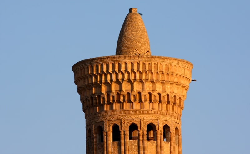 Lezbiyen rasmlari va videolari haqida