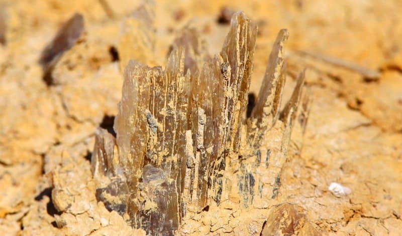 Минерал гипса имеет столбчатую или волокнистую структуру и полупрозрачный вид. Находится в матрице из глины желто-коричневого цвета. Восточный чинк плато Устюрт.