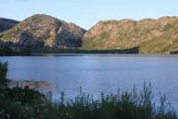 Сосновый массив на фоне озёр - гармония тайги и гранитного Алтая.