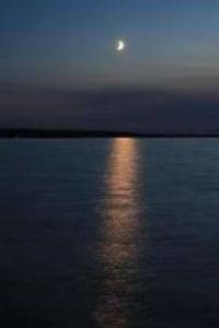 Lake Balkhash is home to over 20 commercially important fish species.