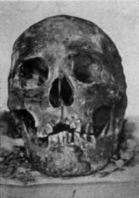Restoration of Timur's head. Timur's skull.