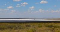 Tamgaly salt marsh. Sozak district, Turkestan region.