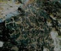 Petroglyphs near the village of Altyn-Mazar.