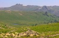 Nature of Ulba ridge.