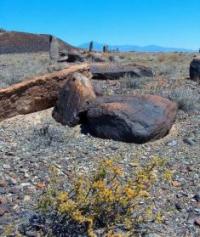 Besshatyr burial mounds. The Altyn-Emel national park.