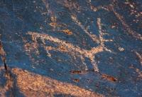 Sauiskandyk petroglyphs.