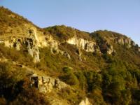 Mountains with nut woods.