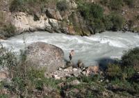 The Alamedin river.