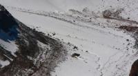 Vicinities of a glacier of Bogdanovich.