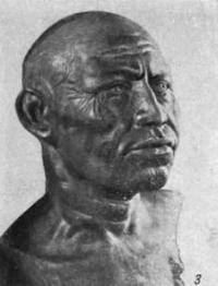 Restoration of Timur's head.