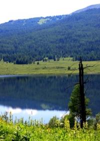 Bukhtarminskoes lake and his environs.