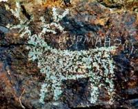 Beldersay petroglyphs.
