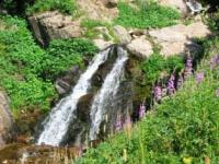 In mountains of Zailiysky Ala-Tau.