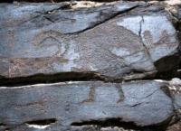 Arpauzen petroglyphs.