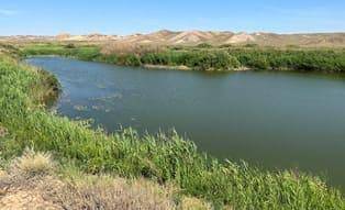  Река Сарысу в Улытауской области.